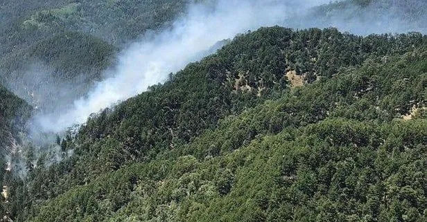 Son dakika: Isparta’da orman yangını! Anında müdahale edildi