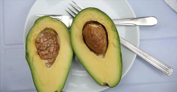 Avokadonun faydaları nelerdir?