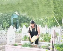 Romanlara taş çıkartan hikaye! Yaşarken öldü dediler... 34 yıl sonra yeniden doğdu