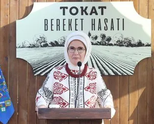 Tokat’ta vakit, bereket hasadı vakti