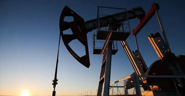 OPEC'in ham petrol üretimi yere çakıldı!