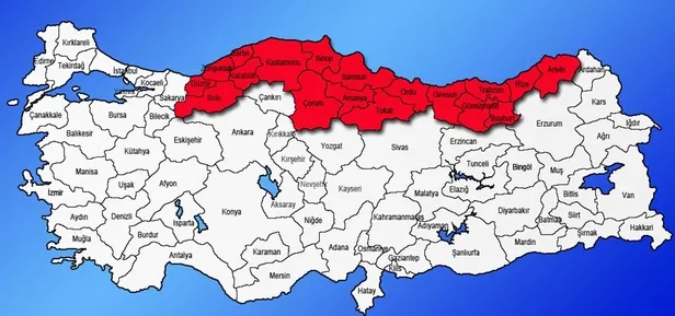 gurcistandan-samsuna-kadar-yayildi-karadenizi-ele-gecirdiler-baskanlardan-acil-eylem-uyarisi-giresun-rize-artv-1696510739242.jpg 3 ilin başkanı alarma geçti! Samsun, Giresun, Rize, Artvin, Ordu, Trabzon'da yaşayan herkesi ilgilendiriyor! " 30 km boyunca..."-7