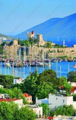 Bodrum masalı!