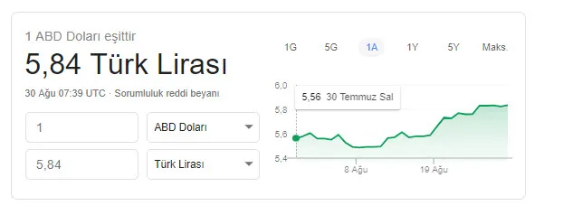 Euro ve dolar kuru bugün ne kadar oldu? 30 Ağustos dolar son dakika: 1 dolar kaç TL? İşte döviz kuru son durum-2