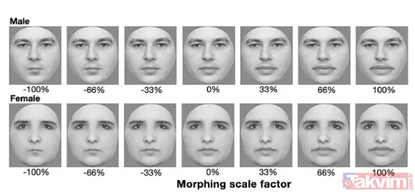 🔍 Araştırmanın Detayları Araştırmada, 32 Kişilik Bir Katılımcı Grubu Oluşturuldu Ve Bu Gruba Farklı Dudak Boyutlarıyla Manipüle Edilmiş Yüzler Gösterildi...