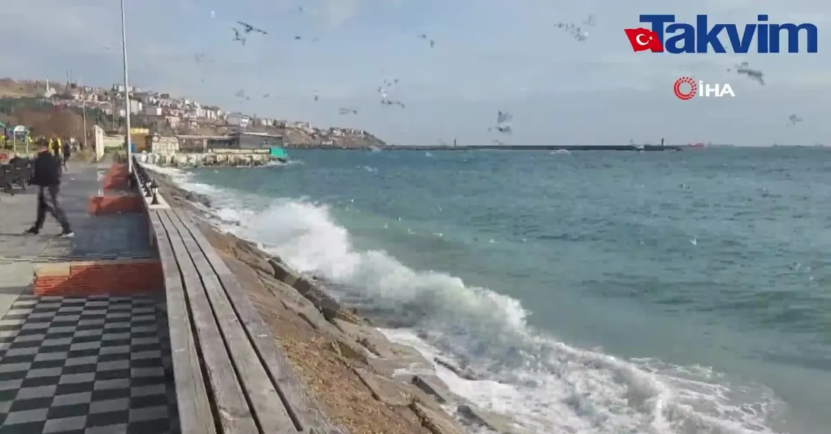 Marmara Denizi'nde ulaşıma lodos engeli