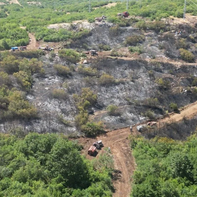 Bursa’daki orman yangınında flaş gelişme!