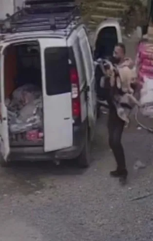 CHP'li İBB'den bir skandal daha! İğne ile vurup ölüme terk ettiler