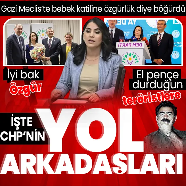 PKKnın siyasi uzantısı HDP/DEMden TBMMde küstah sözler! Bebek katili Öcalana özgürlük diye böğürdü