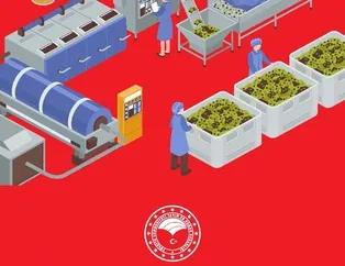 Gıda alışverişi ve gıda hazırlamada nelere dikkat edilmesi gerekiyor? Bakanlık yayınladı
