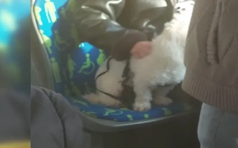 istanbulda-bir-kopektapar-vakasi-daha-dolu-metrobuste-engelli-koltuguna-finosunu-oturttu-1772723818617.jpeg İstanbul'da bir "köpektapar" vakası daha! Dolu metrobüste engelli koltuğuna finosunu oturttu-3