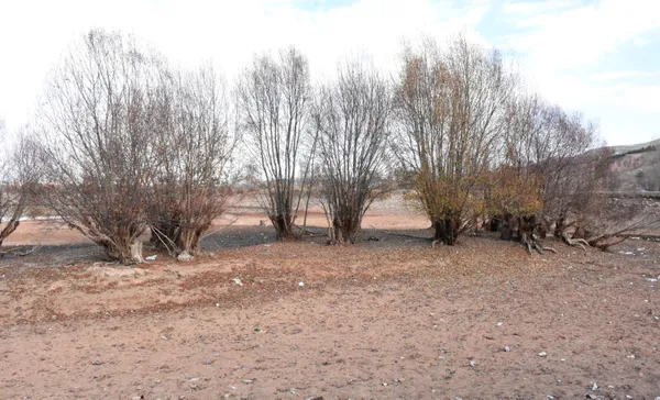 sivas-serpincik-goletinde-su-25-metre-cekildi-1607346984255.jpg Sivas Serpincik Göleti'nde su 25 metre çekildi-4