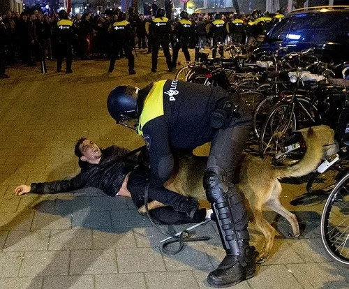 "Hollanda polisi bize köpeklerle saldırdı"-1