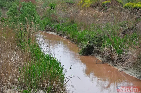 Manisa'da Nif Çayı'nın rengi kırmızıya döndü! İşte nedeni: iki noktadan kamyonla atık döküldü - 11