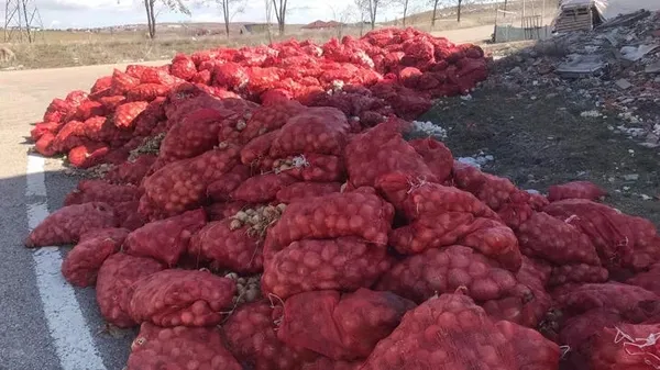 Ticaret Bakanlığı, "sebzelerin çöpe döküldüğüne" dair haberlere ilişkin açıklama yaptı-4