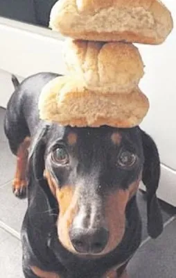 İşi başından aşkın