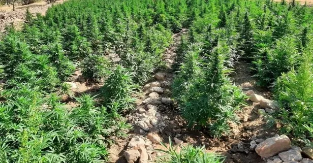 'Eren Abluka’da 62 ayrı noktaya operasyon: Yüklü miktarda uyuşturucu ele geçirildi