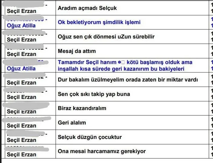 Seçil Erzan olayında flaş gelişme! BDDK'dan Seçil Erzan'ın telefon kayıtlarına yeniden inceleme-7