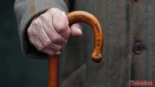 TEK BAŞINA YAŞAYAN YAŞLILARIN EN FAZLA OLDUĞU İLLER Tek kişilik yaşlı hane oranının en yüksek olduğu il yüzde 34,3 ile Balıkesir oldu. Bu ili yüzde 34,1 ile...