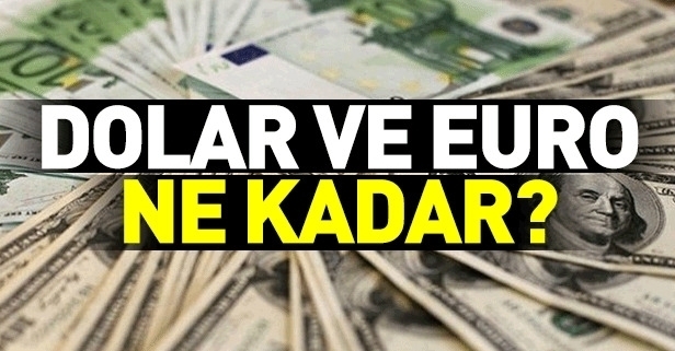 Son dakika: Dolar ve Euro ne kadar? Bugün dolar ne kadar oldu? 29 Ağustos 2018 döviz fiyatları-1