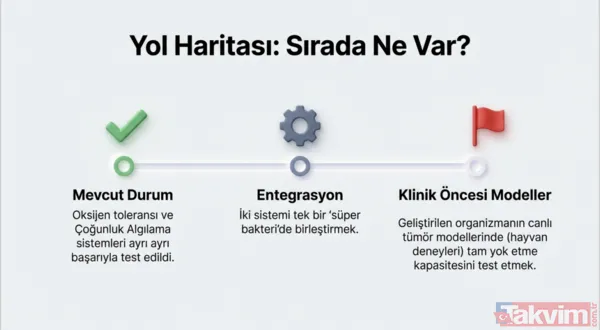Kansere karşı mikro savaş: Bilim insanları tümörleri içten yiyen bakteri geliştirdi - 13
