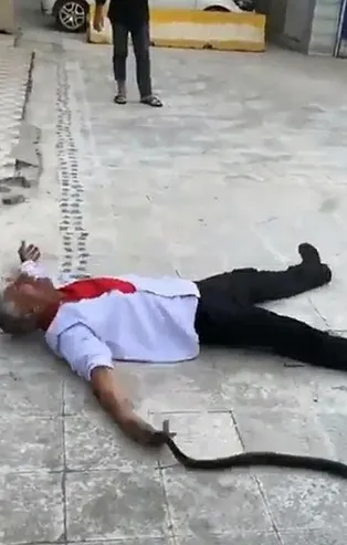 Adana'da ilginç olay: Bu kez de kendini yılana ısırttı
