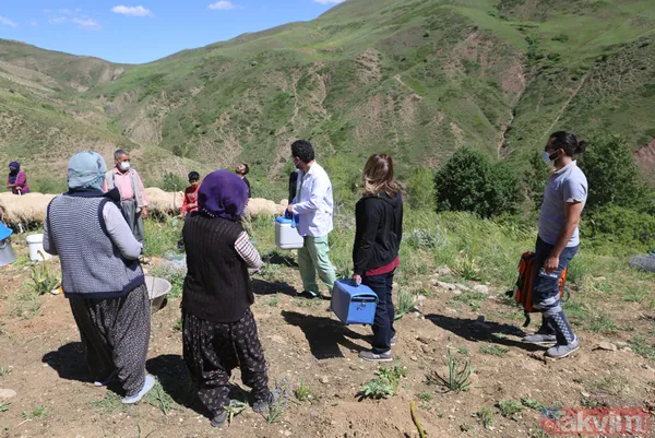 Tunceli'de sürü sahipleri 2 bin 500 metre rakımlı yaylada aşılandı - 15