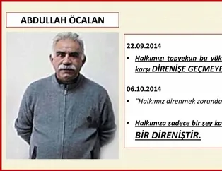 Terör, kaos, yağma... İşte HDP destekli Kobani eylemlerinin ülkemize faturası