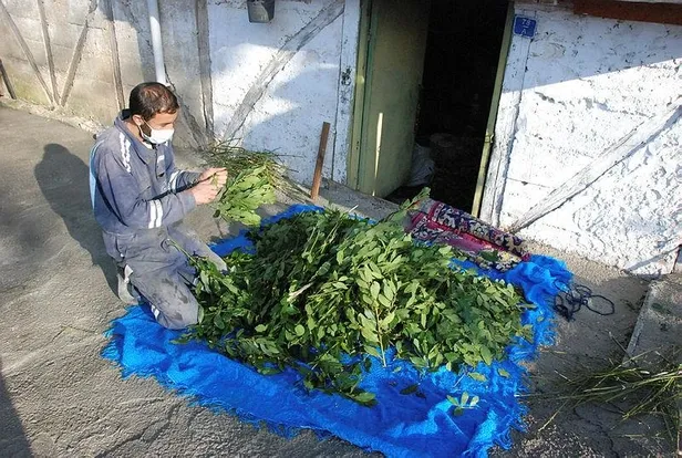 Koronavirüs Bartın'ın bu köyüne hiç uğramadı! Sıfır vakalı köy-5