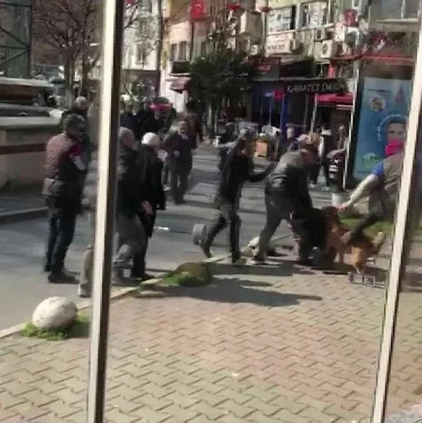 yine-pitbull-dehseti-beyoglundan-3-kisiyi-yaraladi-1645050937244.jpeg Yine pitbull dehşeti! Beyoğlu'ndan 3 kişiyi yaraladı-1