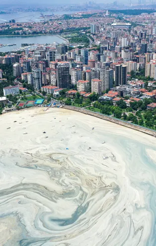 Marmara Denizi'ndeki müsilaj raporunda şoke eden İstanbul detayı