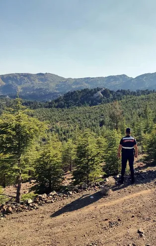 Jandarma orman nöbetinde