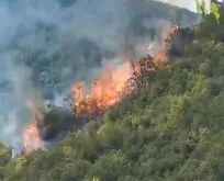 İstanbul’da orman yangını