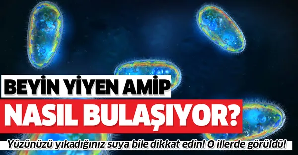 Beyin yiyen amip nasıl bulaşıyor? Koronavirüsten sonra yeni kabus o illerde görüldü!-1
