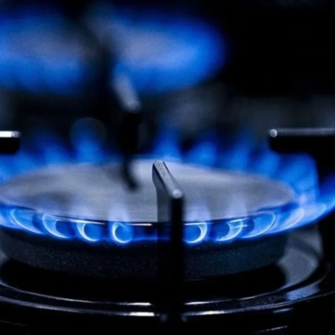 Son dakika: BOTAŞ, 3 kritik sektör için doğalgaz kesintisini sonlandırdı