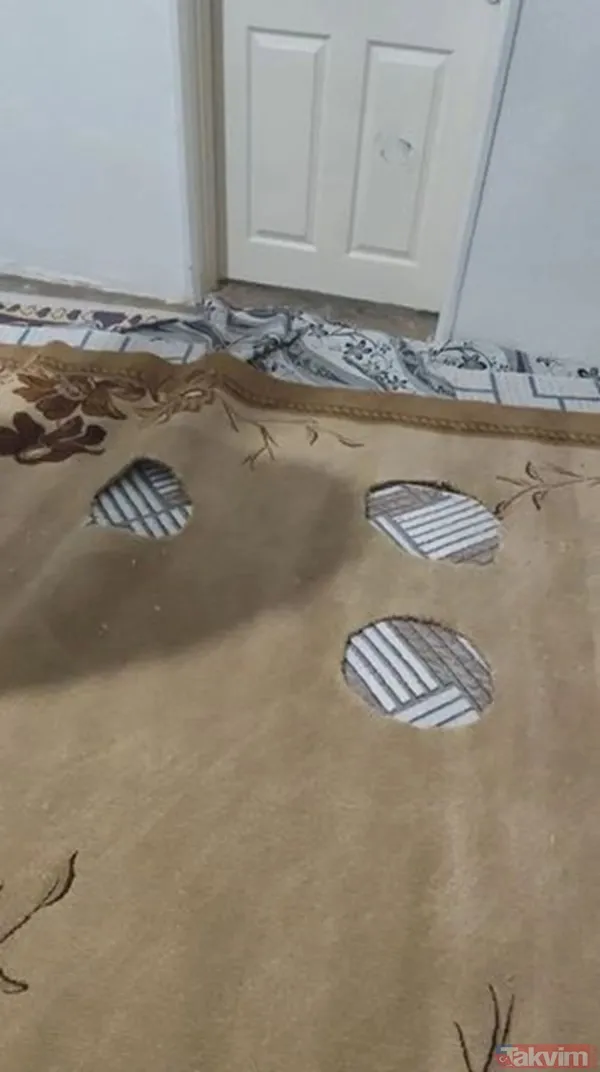 4. Elde Edilen Dna Profili/Profilleri (Karışım Dna Profili/Profilleri Hariç), Jdna Profil Verilerinde (Jandarma Kriminal Başkanlığı Ankara, İstanbul Ve Van...