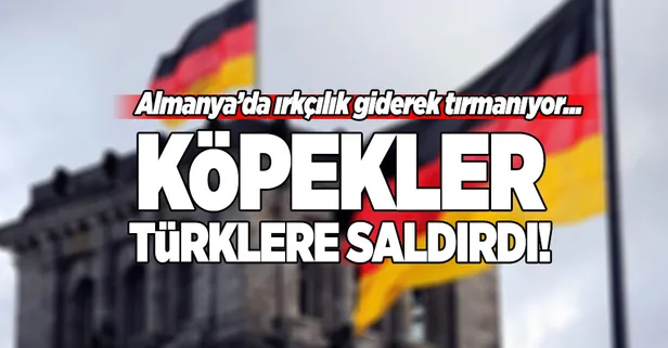 Almanya’da Türklere köpekli saldırı