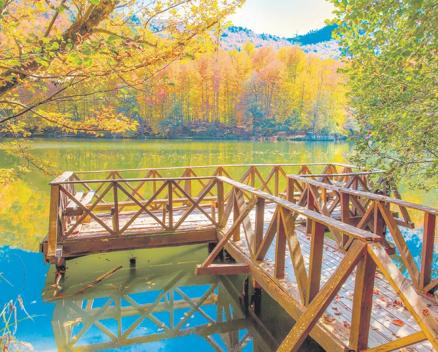 Seyahatin doğal adresi