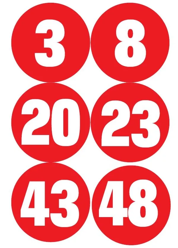 Kelebekler Vadisi'ndeki vahşetin sırrı poliçede! (Yaşam haberleri)-5