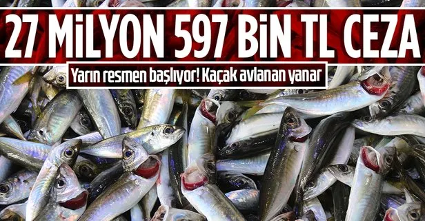 2021- 2022 balıkçılık av sezonu yasağı yarın başlıyor! Kurallara uymayanlar ceza yağdı: 27 milyon 597 bin lira