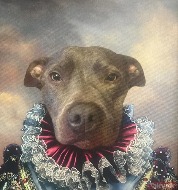 Celil Nalçakan’ın 12 yıllık can dostuna vedası: “Üşümezsin değil mi kızım?” - 5