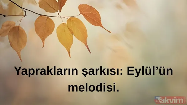 🌾Yaprakların Şarkısı: Eylül'ün Melodisi.