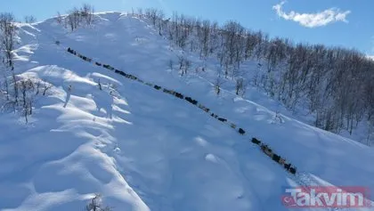 Karlı dağlarda keçilerin zorlu yolculuğu! 2 metreyi bulan karda 6 kilometre...