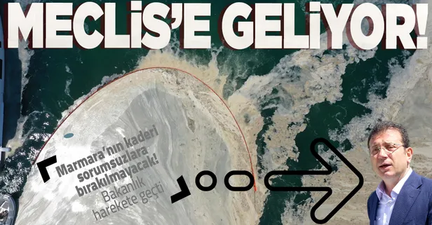 Marmara'daki müsilaj istilasında flaş gelişme: Arıtma tesislerini belediye yapmazsa bakanlık el atacak