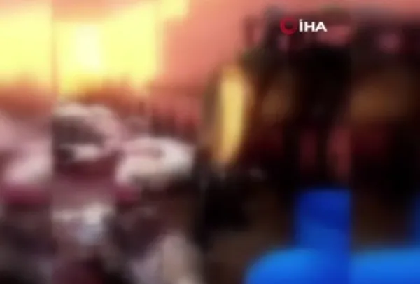 Adana'da mide bulandıran görüntü! 12 kesilmiş eşek ele geçirildi!-5