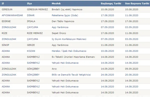 Hem kurs hem iş! Günlük 90 – ayda 2700 TL en az ilkokul mezunu sigortalı iş sahibi olma şartları nelerdir?-5