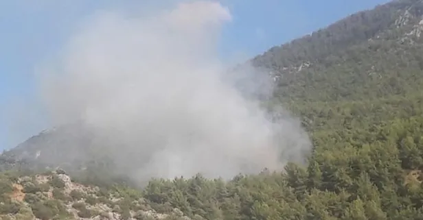 Son dakika: Muğla'da korkutan bir yangın daha!