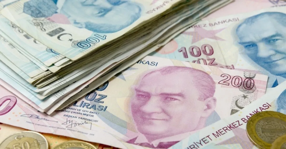 Issizlik Maasi Basvuru Sonucu Nasil Ogrenilir E Devlet Issizlik Maasi Basvuru Sonucu Sorgulama Ekrani Takvim