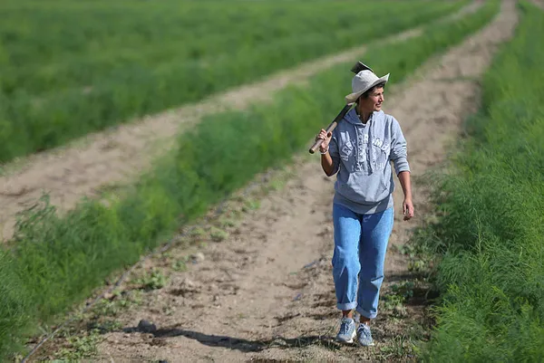 odtu-mezunu-pazarlama-muduru-isini-birakti-simdi-250-donumde-kuskonmaz-yetistiriyor-1603959471589.jpg ODTÜ mezunu pazarlama müdürü işini bıraktı, şimdi 250 dönümde kuşkonmaz yetiştiriyor-6
