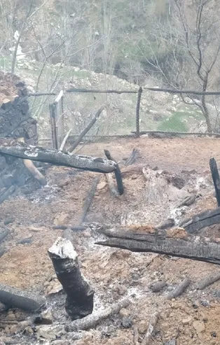 Ahırda yangın: 76 hayvan telef oldu